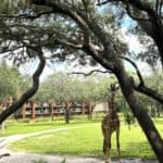 Things to Do at Disney World Besides the Parks