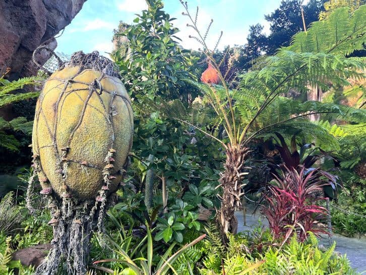 avatar area at animal kingdom