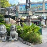 Disney’s Animal Kingdom Guide- Everything to Know About the Park
