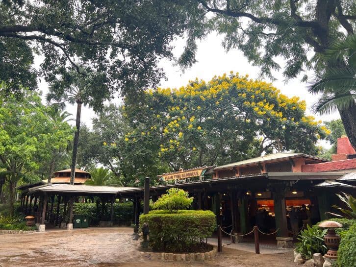flame tree barbeque at animal kingdom