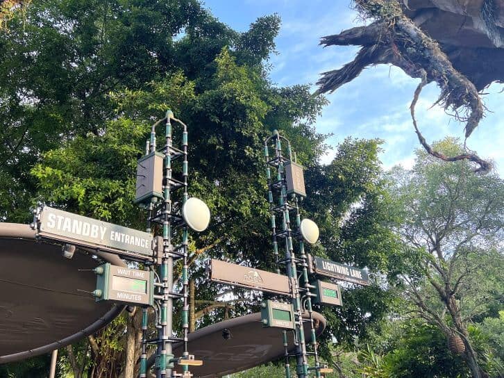 flight of passage lightning lane at disneys animal kingdom