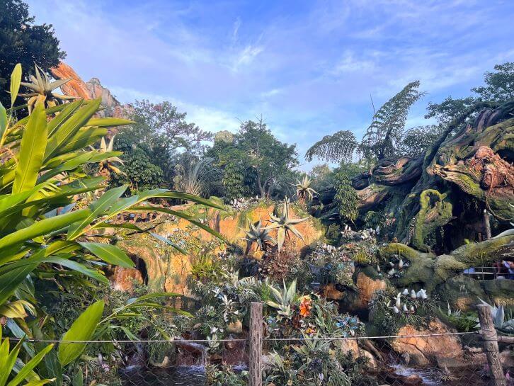 pandora at animal kingdom