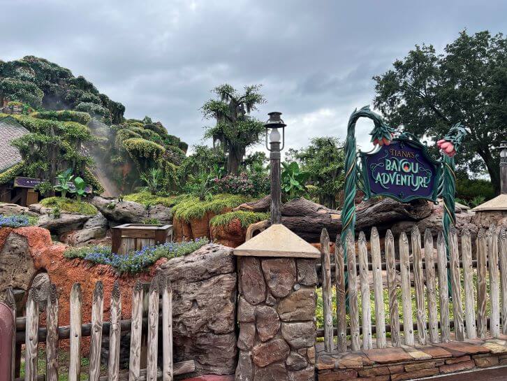 tianas at magic kingdom