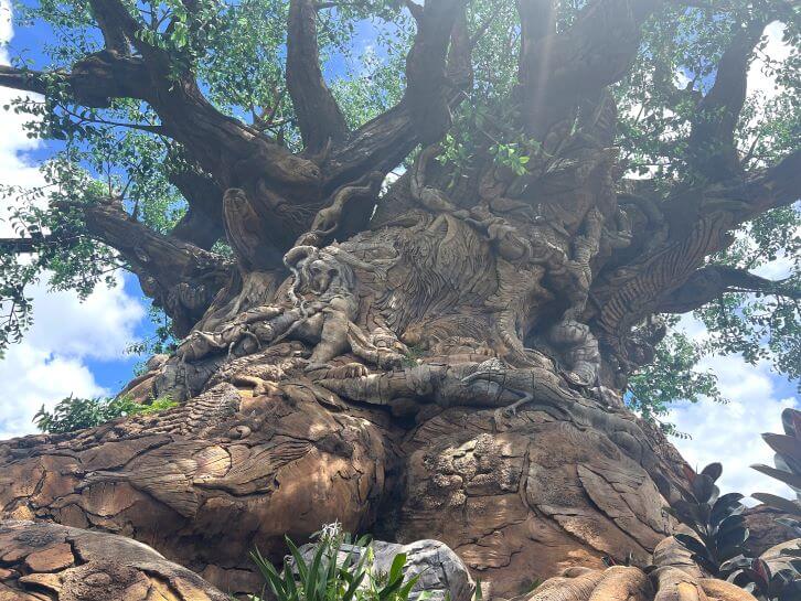 tree of life at animal kingdom