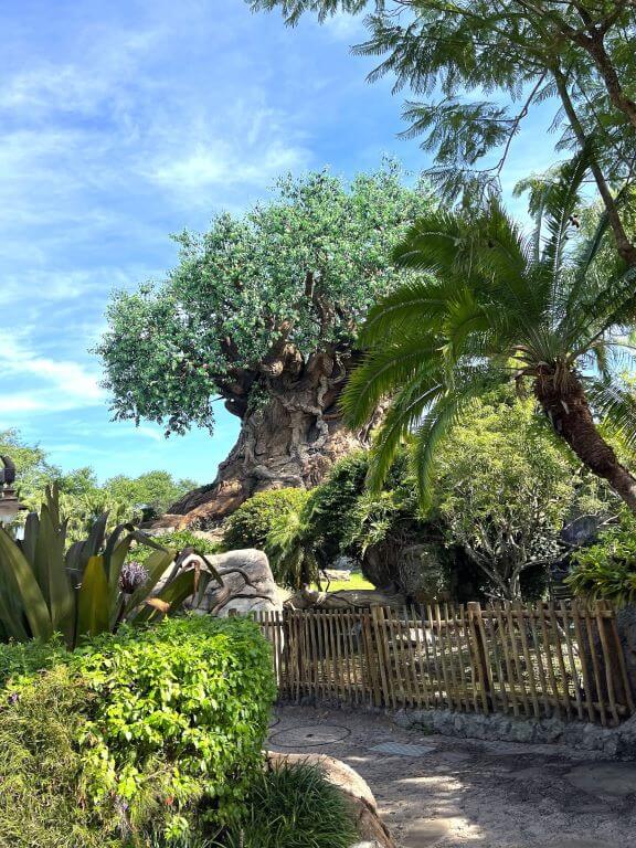 tree of life trail at animal kingdom