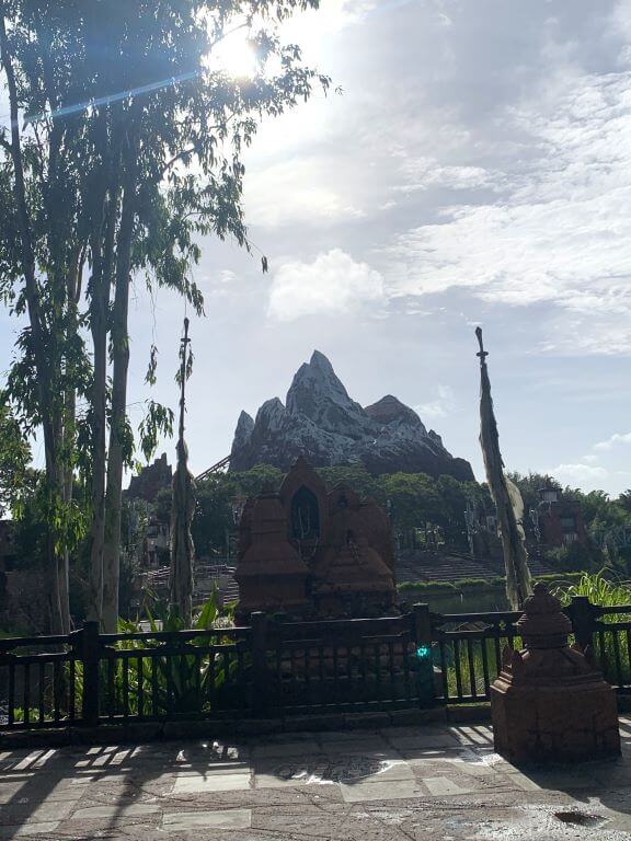 animal kingdom roller coaster expedition everest