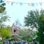 Best Roller Coasters at Disney World for Thrill Seekers