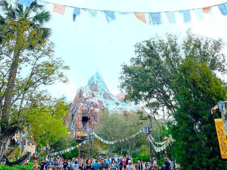 expedition everest at animal kingdom disney
