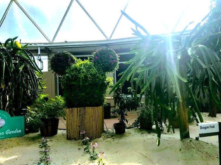 living with the land boat ride at epcot